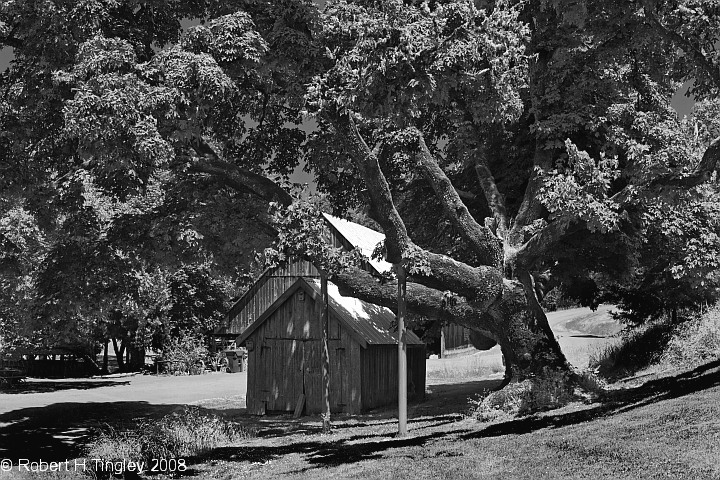 Oregon Shed and Barn
